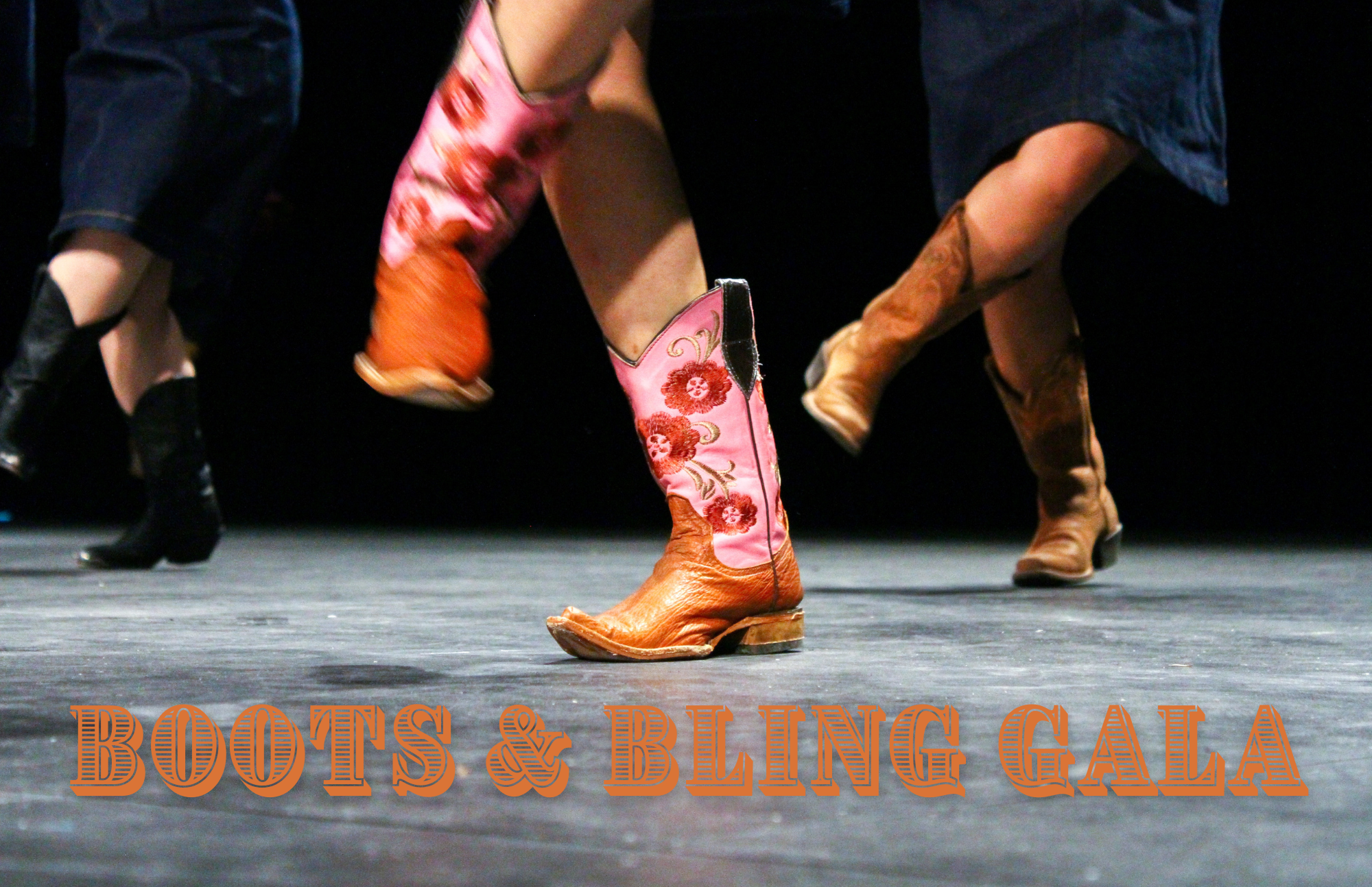 2025 Boots and Bling Gala